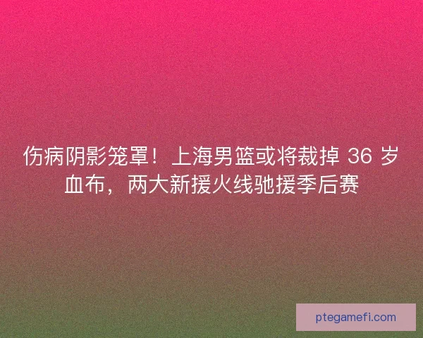 伤病阴影笼罩！上海男篮或将裁掉 36 岁血布，两大新援火线驰援季后赛