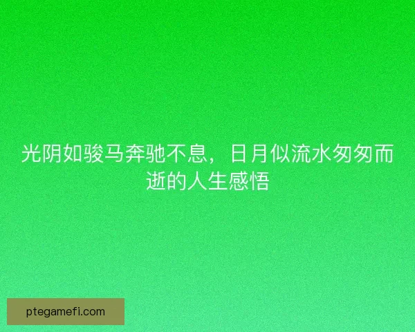 光阴如骏马奔驰不息，日月似流水匆匆而逝的人生感悟